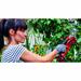 EINHELL 3408220 - Taglia rami GE-GS 18 Li - Solo