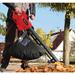 EINHELL 3433370 - Soffiatore aspiratore elettrico GC-EL 3024