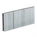 Einhell 4137861 - 3000 graffette 5,7x40 mm per DTA 25/2