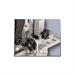Einhell TC-BJ 900 Fresatrice lamellare orizzontale