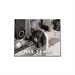 Einhell TC-BJ 900 Fresatrice lamellare orizzontale