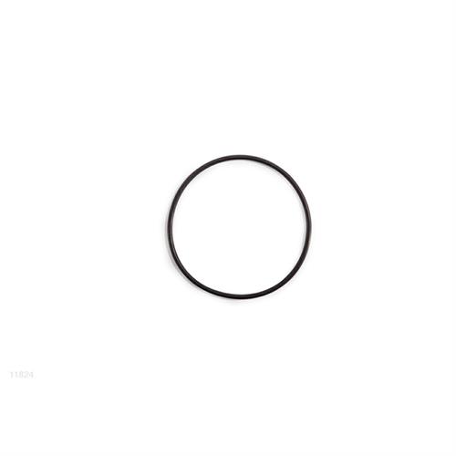 INTEX 11824 - GUARNIZIONE FILTRO POMPA SABBIA 28646/28648/28