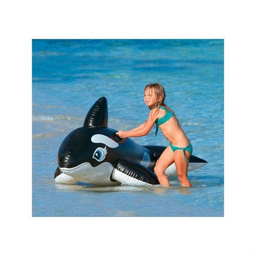 INTEX 58561 CAVALCABILE ORCA CM 193X119