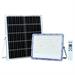 PROIETTORE LED 6500K, LM3400 DIMMERABILE, P.SOLARE 30W, 348X