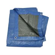 TELONE OCCHIELLATO MT 3X 2 IN POLIETILENE 80GR/MQ