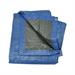 TELONE OCCHIELLATO MT 3X 2 IN POLIETILENE 80GR/MQ