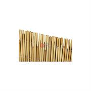 ARELLA BAMBOO OMBREGGIANTE 200X300CM