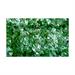 VERDELOOK SEMPREVERDE LAURO 1X3 mt.