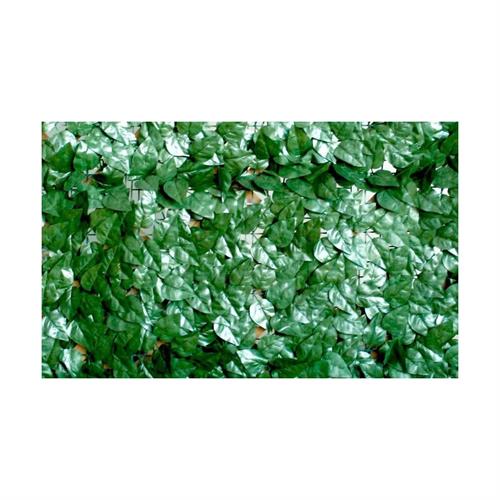 VERDELOOK SEMPREVERDE LAURO 1,5X3mt