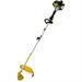DECESPUGLIATORE VIGOR SP-3300