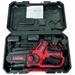 SUPERPROMO TRONCARAMI SANDRIGARDEN SG-TR 20 12V-2AH 2B TAGL.