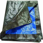 TELONE ANTISTRAPPO STANDARD BICOLOR BLU/VERDE 2X3M