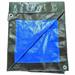 TELONE ANTISTRAPPO STANDARD BICOLOR BLU/VERDE 4X5M